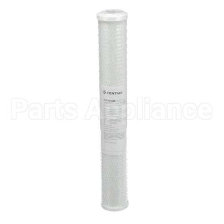 EV910863 Everpure Cg53-20