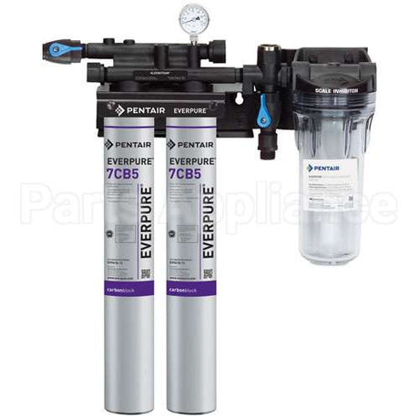EV9797-22 Compatible Everpure Kleensteam Ii Twin System