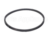 F170-70577810 Intl Environmental Corp A29 Belt 31 In