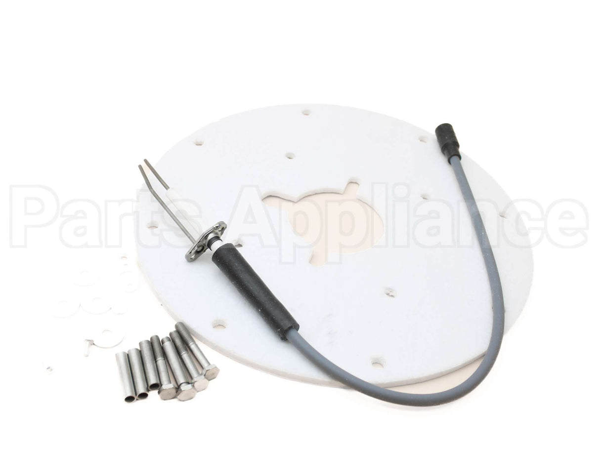 100187881 Lochinvar & A.o. Smith Spark Ignitor Assembly