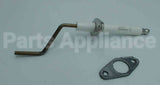 100165923 Lochinvar & A.o. Smith Flame Sensor With Gasket