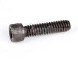 1238 Globe Screw