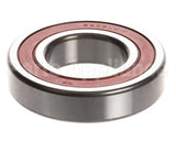 X60024 Globe Bearing