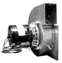 FB-RFB250 Rotom Motors