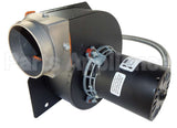 FB-RFB356 Rotom Motors