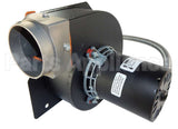 FB-RFB356 Rotom Motors