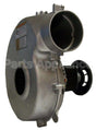 FB-RFB383 Rotom Motors