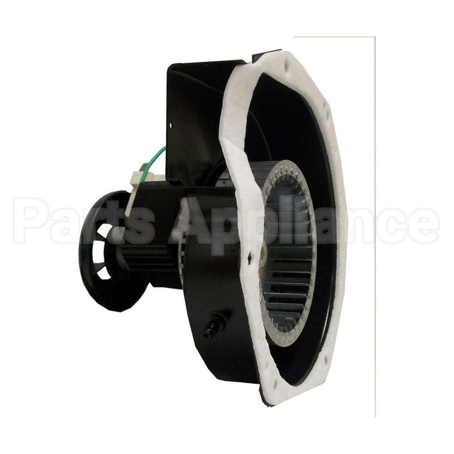 FB-RFB405 Rotom Oem Replacement Motor