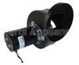 FB-RFB599 Rotom Motors
