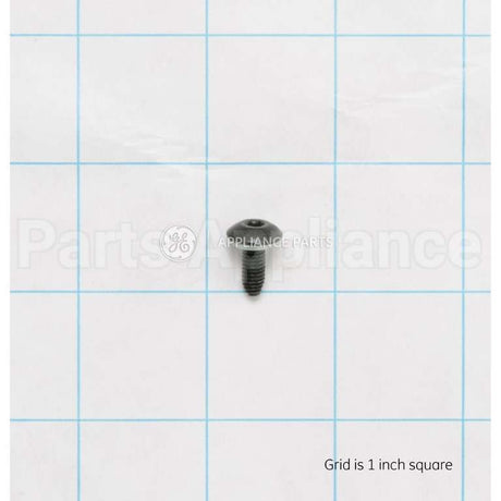 WB01T10008 GE Screw 10-32 Tr T