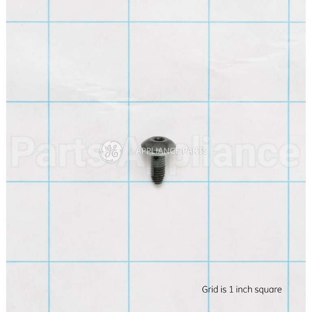 WB01T10008 GE Screw 10-32 Tr T