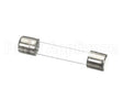 FE-017-47 Vulcan Hart Fuse,250V,3A
