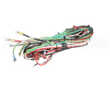 FRE-1160 Turbochef Wire Harness