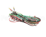 FRE-1160 Turbochef Wire Harness