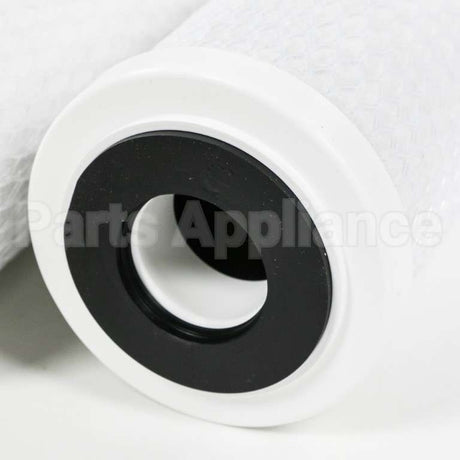 FX12P GE Repl. Filter