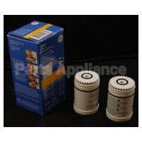 FXMLH GE Faucet Mt Repl Filter 2P
