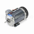 G655 Marathon Motor