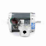 G828 Marathon Motor