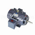 GT0459 Marathon Close Coupled Pump Motor