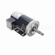 GT0504 Marathon Close Coupled Pump Motor