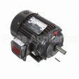 GT1004 Marathon Motor