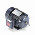 GT1007 Marathon Motor