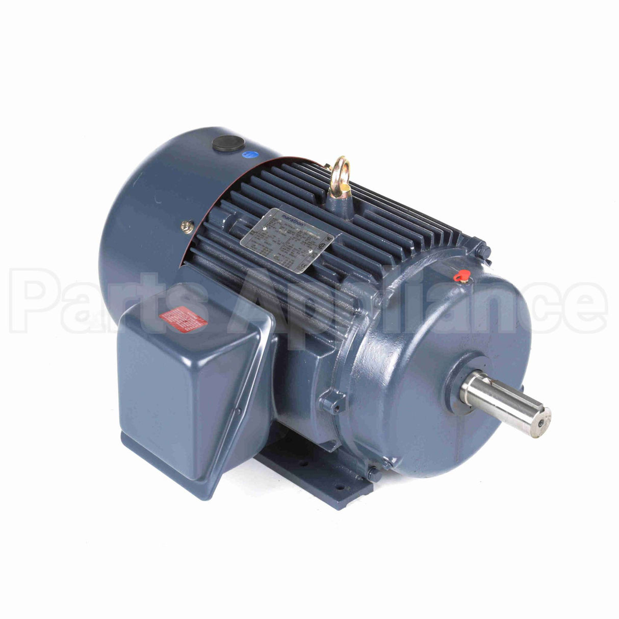 GT1021A Marathon Motor