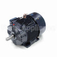 GT1022A Marathon Motor
