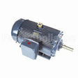 GT1066 Marathon Motor