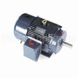 GT1117A Marathon Motor