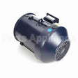 GT1309A Marathon Motor