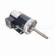 GT2403 Marathon Close Coupled Pump Motor