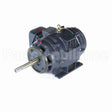 GT2417 Marathon Close Coupled Pump Motor