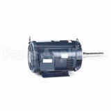 GT2419A Marathon Close Coupled Pump Motor