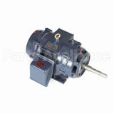 GT2464 Marathon Close Coupled Pump Motor