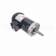 GT5206 Marathon Close Coupled Pump Motor