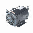 H956 Marathon Motor