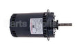 H978V1 Regal Rexnord - Century Motors Spl Hp 1140Rpm 208-230/460-575
