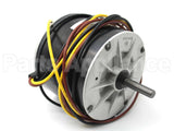 HB37GQ240 Carrier 208-230V1Ph 1/5Hp 1/6Hp 810Rpm