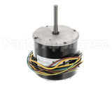 HC40AQ231 Bryant Payne Motor