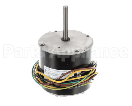 HC40AQ231 Bryant Payne Motor