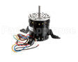 HC45TE114 Bryant Payne 3/4Hp 115V 1075 Rpm 4Speed Ccw