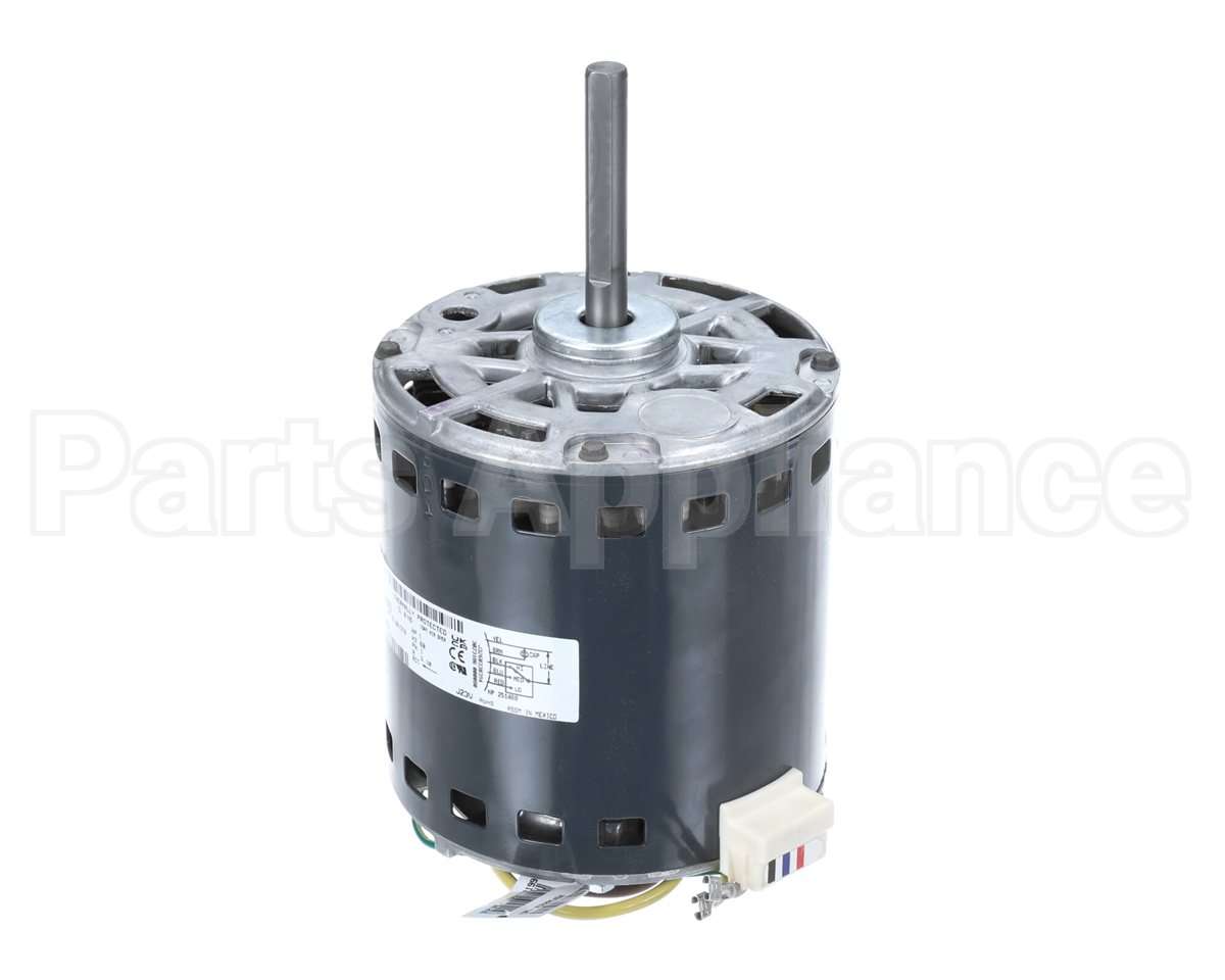 HC52AE464 Bryant Payne Motor