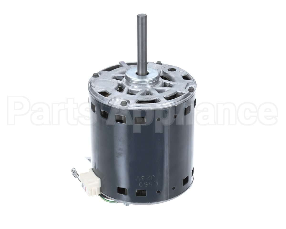 HC52AE464 Bryant Payne Motor