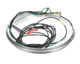 HTR15171 Trane Crankcase Htr,240V,70W,62"Lead