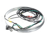 HTR15171 Trane Crankcase Htr,240V,70W,62"Lead