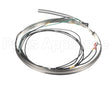 HTR15191 Trane Belt 230-240V 90/100W 76"Lds