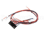 I1-9739 Turbochef Wire Harness, Line Voltage, Re