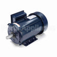 I217 Marathon Motor