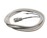 IC155146320 Carpigiani Rodlevel Electronic Control A